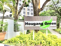 Hougang Green (D19), Apartment #427337051